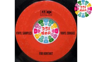 康加鼓 Past to Future Reverbs Vinyl Congas-251编曲网