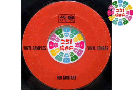 康加鼓 Past to Future Reverbs Vinyl Congas-251编曲网