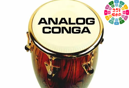 康加鼓音色库 PastToFutureReverbs Analog Conga Percussion-251编曲网
