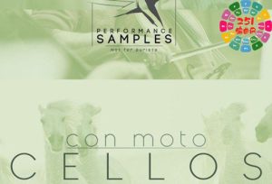 动感大提琴 Performance Samples Con Moto Cellos-251编曲网