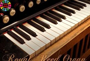 踏板簧风琴音源 Soniccouture Estey Reed Organ-251编曲网