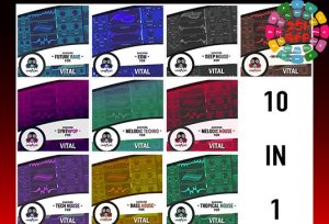专业级 Vital 预设 Vandalism Vital Bundle Vital Presets-ARCADiA-251编曲网