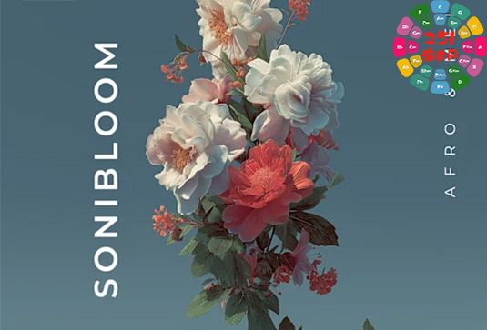 打击乐素材 Zenhiser Sonibloom WAV-251编曲网